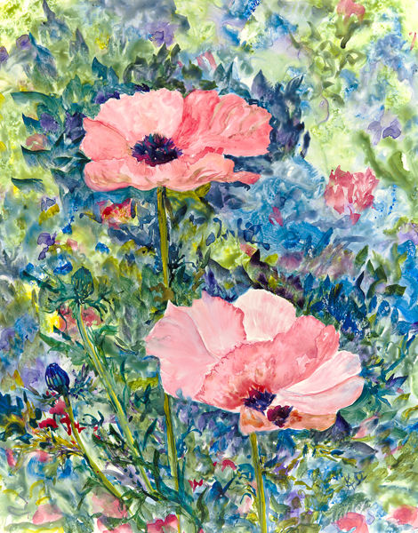 Chris' Poppies