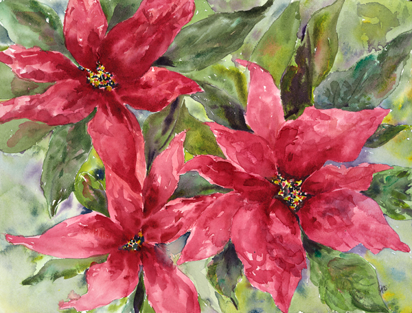 Christmas Pointsettia