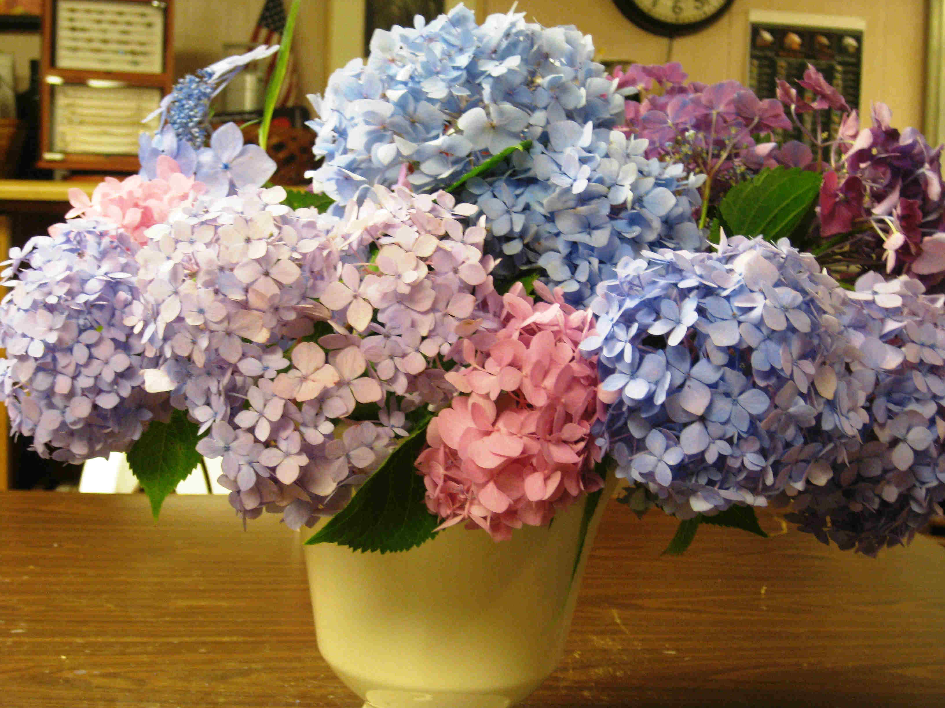 Pink and Blue Hydrandgea Bouquet