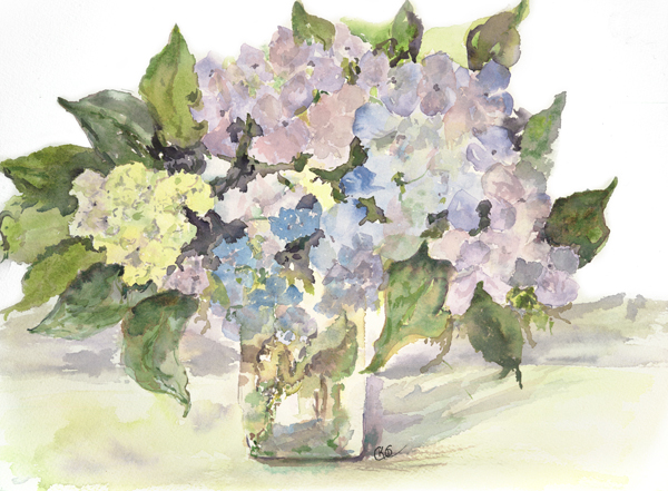 Hydrangea