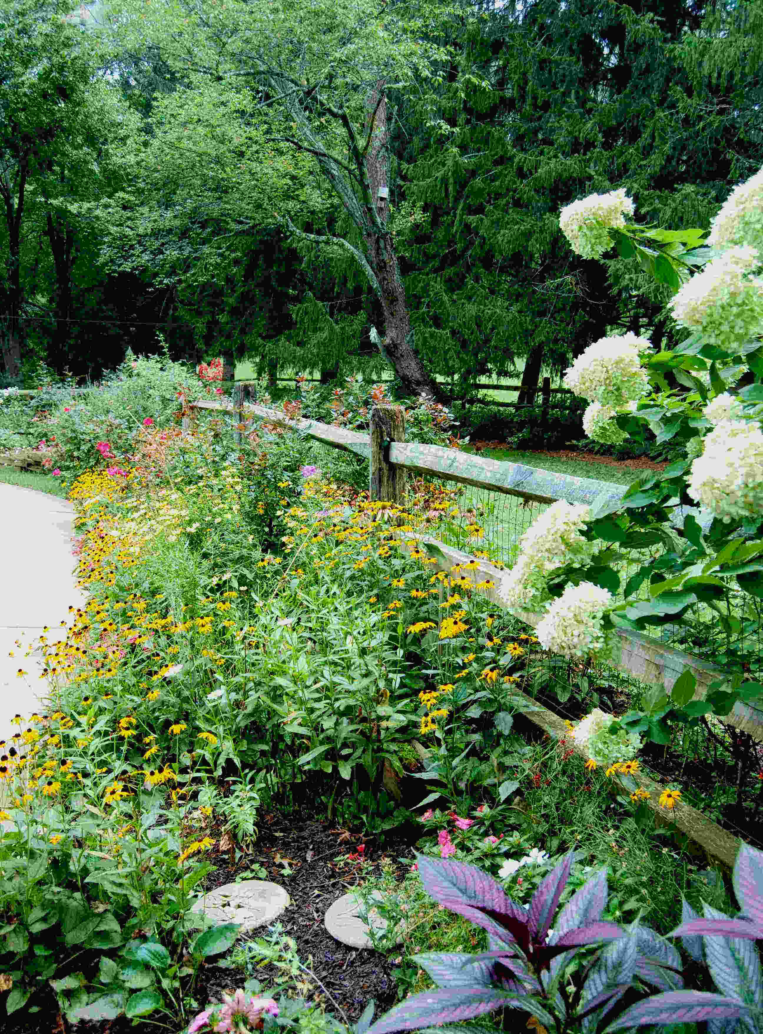 Pool Garden